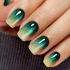 Square Medium Ombre French Glitter Green Soft Gel Press Ons XNMY272